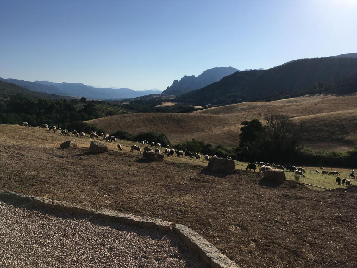 Ferme De Roccapina Panzió Sarragia Kültér fotó