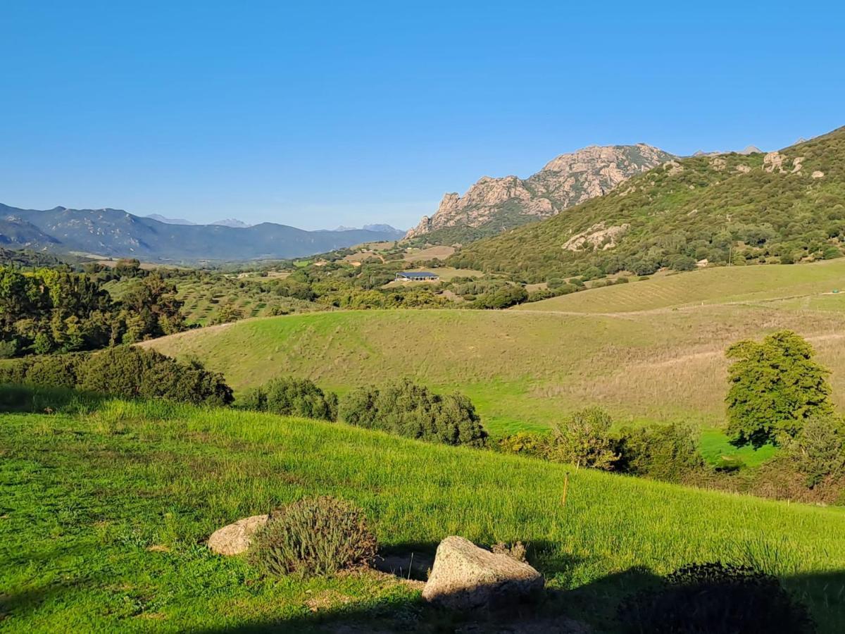 Ferme De Roccapina Panzió Sarragia Kültér fotó
